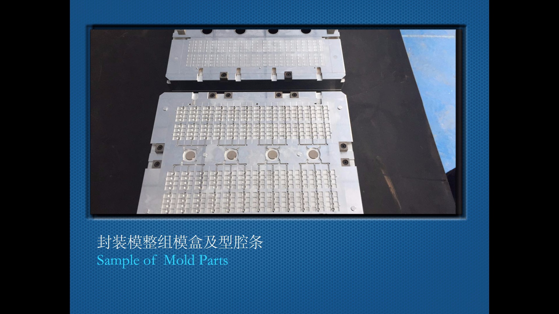 Auto Encapsulation Mold Chase & Cavity Bar Systems